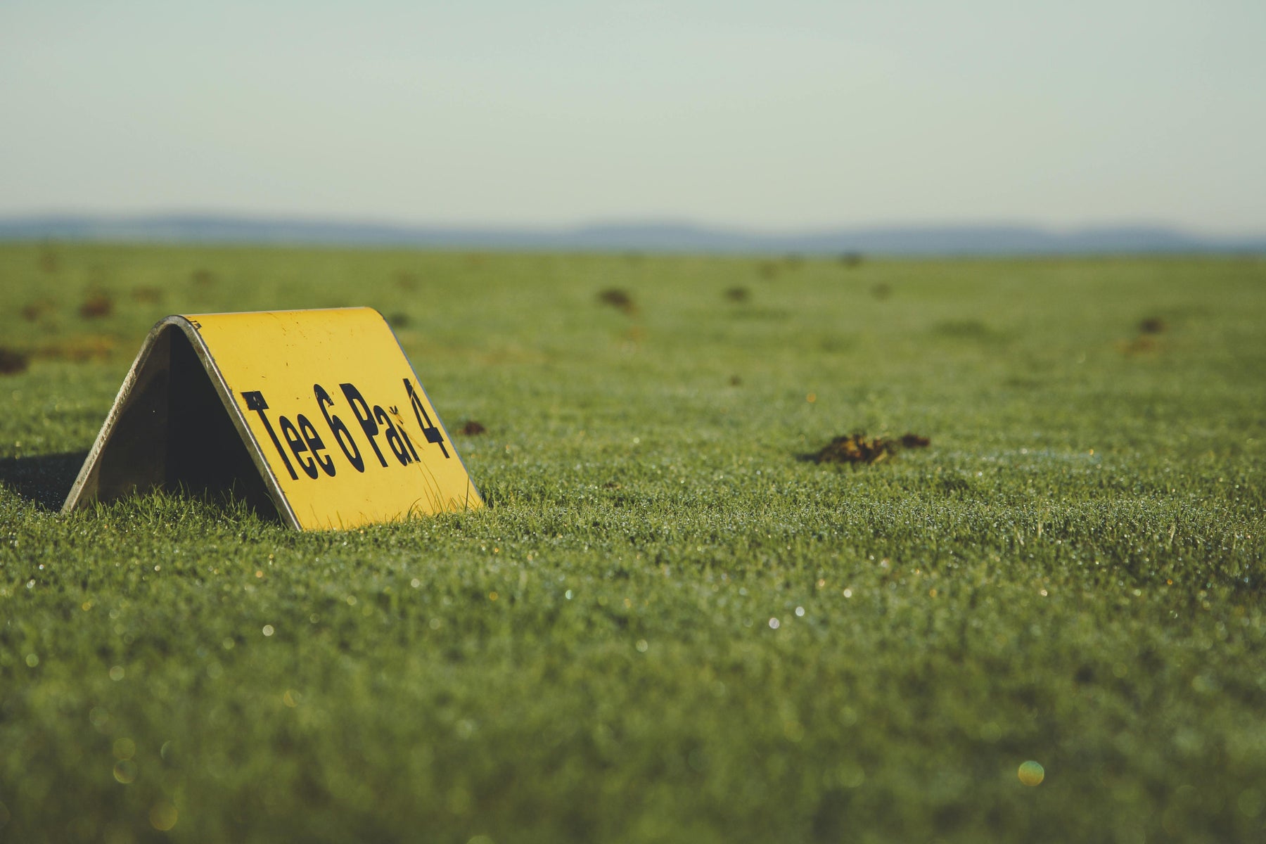 Markwell Studio — Green Grass
